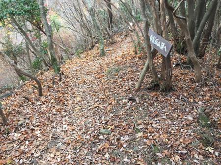 登山道に出た
