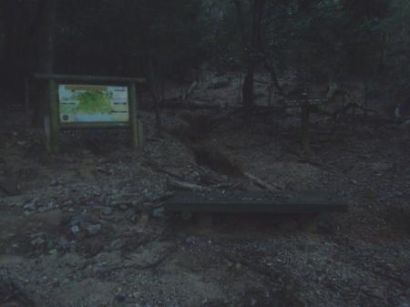 野鳥観察小屋の裏手