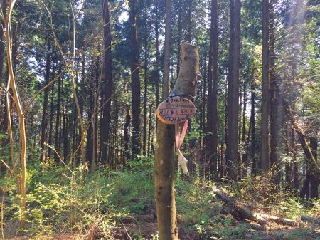 逢ヶ山(722m)に到着。ここでこの界隈の山に詳しい地元の人と話しこんだ。大峰とか大高とかもすごい詳しい人だった。坪内林道がある時って八経ヶ岳へはトンネル西口なんかより最短ルートだったとか・・・