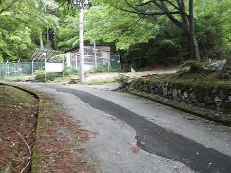 この道路を少し登って右へ行ったんだけど、それがルートの間違いだった