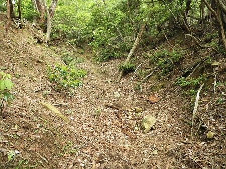なだらかな登りなんだけど大休憩でもとらないと体力が回復しない。息を切らしながら登っていく