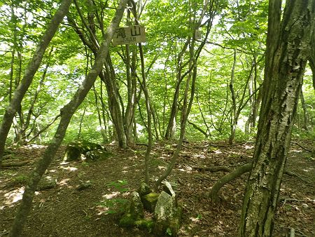 滝山山頂（703m）に到着。こんなところに山頂！？という感じだった