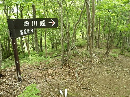ここでリトル比良の縦走路に合流。寒風峠を目指すが、この先はちょっとしたアップダウンがあるんだよね