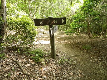 ここで涼峠への道標が出てきた。ここで沢を渡って少し登ったところが涼峠になる