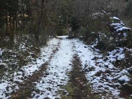 早速、雪道