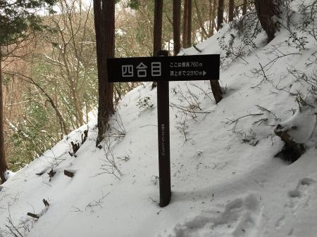 四合目(標高760m)三合目と比べて標高差60mしかなかった