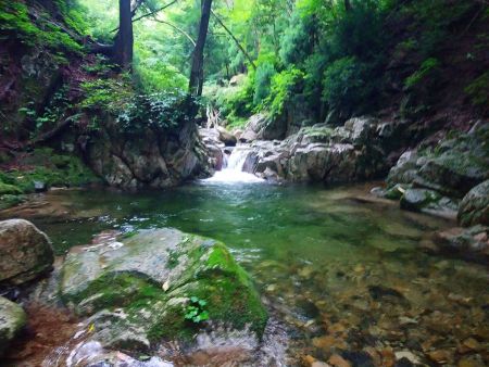 写真では伝わりにくいけど、ちょっと神秘的で美しい場所があった
