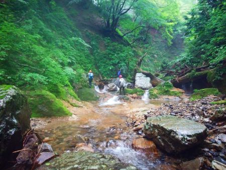 ちょっと絵になるような場所なので撮影してみたけど、写真だとやはり伝わらないね