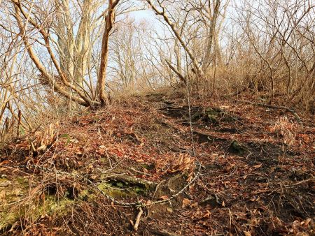 ロープ場があったけど、ここはロープなしでも普通に登れた。まあ下山時はちょっと注意しないといけないけどね