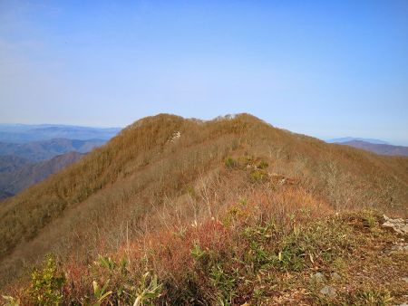 向こう側に見えてるピークが横山岳山頂だと思われる。手前のピークも登らないといけないので登り返しがあるんだろう