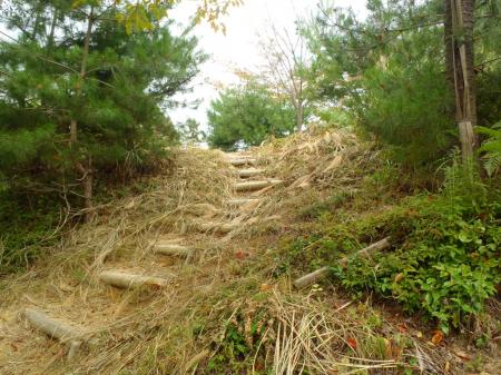 高城山展望台への登り