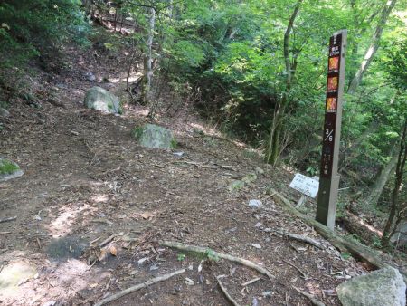 やっと4合目に到着。標高270mということはまだ半分もきていない