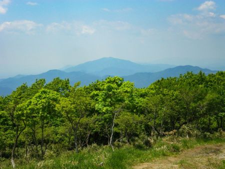 下山時にもう一度撮影してみたけど、この見えてる山はどうやら那岐山ぽい。記事をみていると那岐山もいい感じの山なんだよね