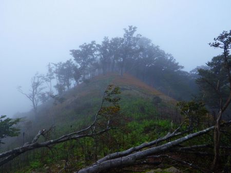 ガスの稜線歩きになるけど幻想的なのかもしれないと期待する