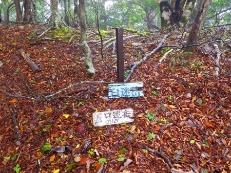 口迷岳(1224m)に到着。ちょっとしたピークになってるけど、通り道にポツンと看板がある感じだった