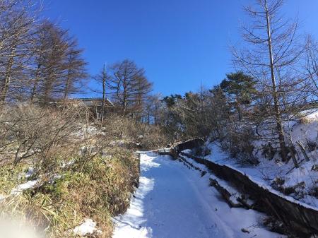 山荘が見えた