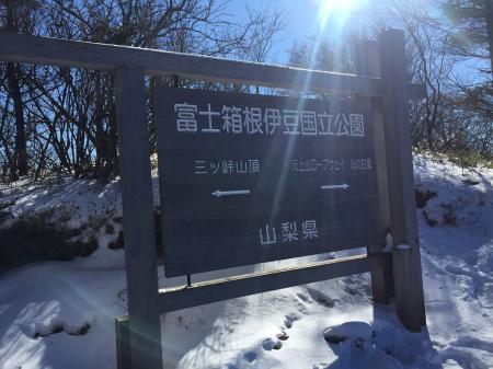 ここで分岐