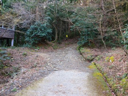 舗装道が終わって砂利道というか登山道に入っていく