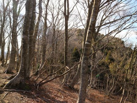 やっと小屋のみえるピークが見えた。見た感じすぐ登れそうなのでさっさと進む