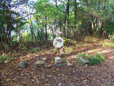 小和田山