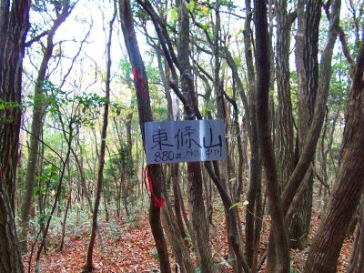 東條山
