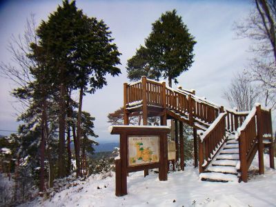 歌垣山