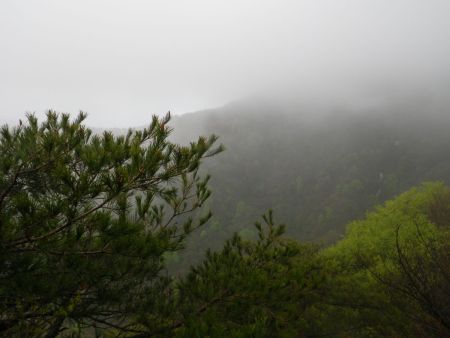 オウム岩からの展望だけど木が邪魔なのとやはりガスってるので展望はほとんどなしに等しい