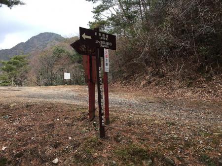 林道に出た