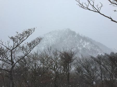仙ヶ岳のピークを振り返る