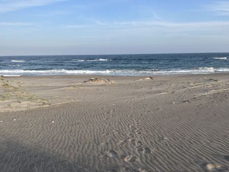 新鮮なお寿司を食べた後、店の裏側は津軽海峡の海岸になっていた。日没まで時間はあったので海岸沿いを歩いて一服していた。それにしても波が荒く風が強かったけど、津軽海峡ってこんな感じなのかな！？