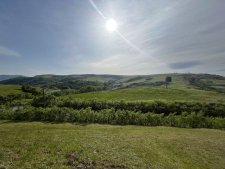 高原だけど仁山という山頂には登れるらしい。今回は時間がないので登らなかったけど機会があれば登ってみたい
