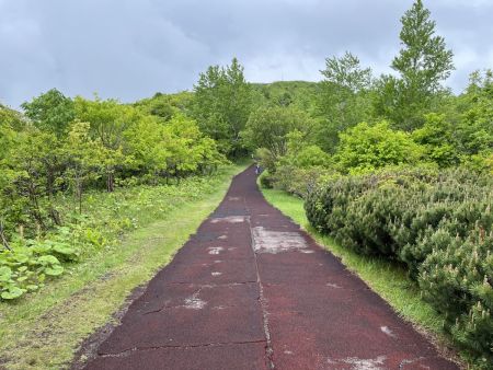 せっかくなので有珠山の火口原展望台まで足を伸ばしてみることにした