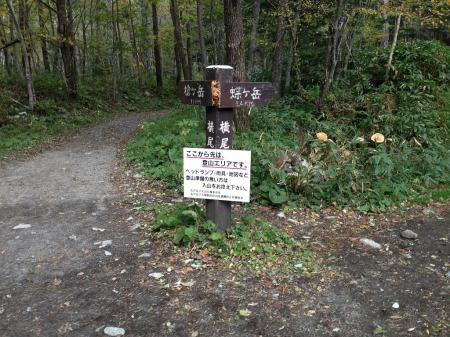 ここから本格的な登山道になる。右は蝶ヶ岳へ