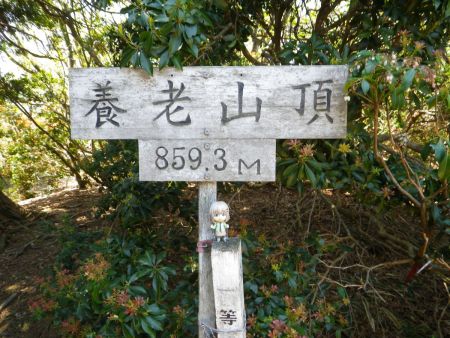 せっかくなので雪村あおいちゃんと養老山山頂の看板を撮影しておいた。本当は三角点と看板を入れても撮影したけど何かわからない写真だったので掲載は辞めた