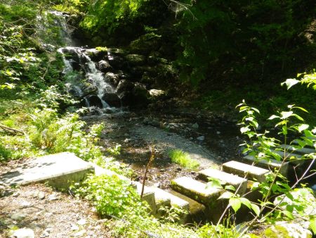 沢を渡るところまで下ってきた。ジグザグの急登の下りが少し岩があったりしたので落石注意しながらの下りになったけど下りは早かった