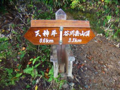 谷川岳山頂まで3.3kmと結構距離あるなあ