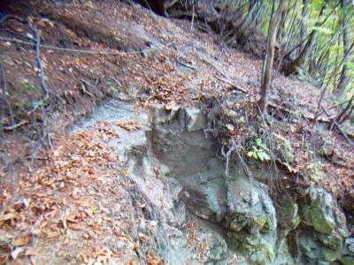 登山道はところどころ崩壊している箇所があったりした。トラロープは信用できないんよね（汗