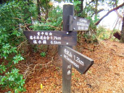 丹沢山まで1.2kmと距離のほとんどが林道だったのね