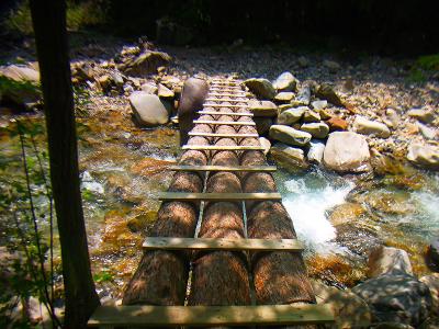 沢を渡る。結構しっかりした橋だった