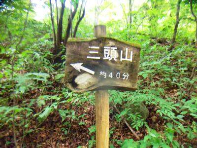三頭山まで40分。時間的には全然余裕だね