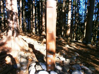 大ダワから急登を登ってすぐ鋸山(1109m)に到着。写真は撮らなかったけど結構な急登だった