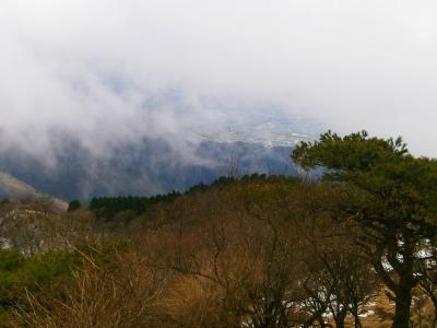 大倉尾根（通称バカ尾根）で下山。時折ガスがはけて市街地が見えたりするけど、もう今日はこんな感じが続くんだろうね