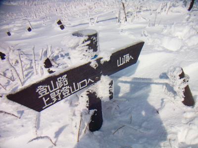 ここで道標がでてきた。山頂は近いということかな！？