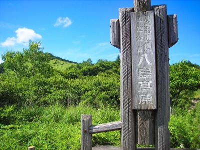 ビーナスラインから途中で立ち寄った八島高原。ここも見所の一つ