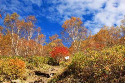 青と雲と紅葉のコラボ。いよいよ雲が出始めた