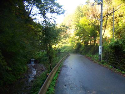 最初は道路をひたすら歩いていく