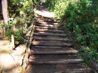 山頂直下の階段。これが結構長かった