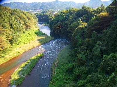 上流とは言わないけどこれも多摩川なんやね
