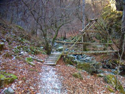 この橋を渡ってからの尾根が急登なんよね