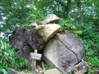 ガマ石。確かに見方によっては右側に口があって蛙に見えるね